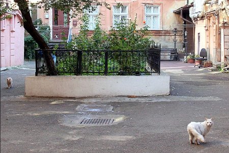 Улица Университетская — тихий центр Одессы, из которого постепенно «уходит тишина» (фоторепортаж)