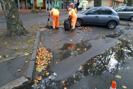 Из-за разгула стихии минувшей ночью в Одессе рухнули более трех десятков деревьев (фото)