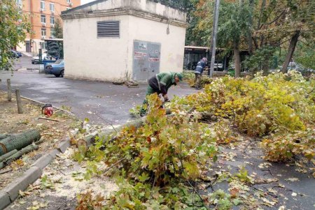 Из-за разгула стихии минувшей ночью в Одессе рухнули более трех десятков деревьев (фото)