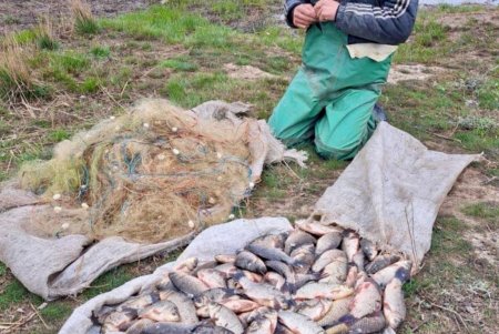 Житель Белгород-Днестровского района незаконно выловил рыбу, нанеся более 300 тысяч гривен ущерба государству (фото)