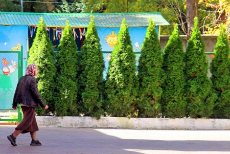 Осеняя прогулка по солнечному Французскому бульвару (фоторепортаж)