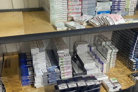 Двое горожан понесут ответственность за организацию нелегального табачного бизнеса (фото)