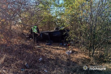 В Белгород-Днестровском районе легковушка опрокинулась в кювет: пострадала женщина и ее маленький сын (фото)