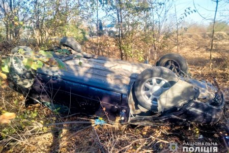 В Белгород-Днестровском районе легковушка опрокинулась в кювет: пострадала женщина и ее маленький сын (фото)