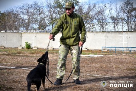 Полицейские-кинологи из Одесской области совместно со служебными собаками помогают правоохранителям реабилитироваться после ранений (фото, видео)