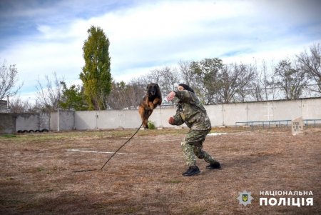 Полицейские-кинологи из Одесской области совместно со служебными собаками помогают правоохранителям реабилитироваться после ранений (фото, видео)