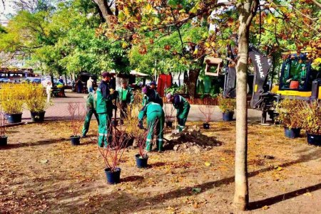 В Старобазарном сквере коммунальщики высадили девять видов декоративных растений (фото)