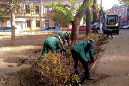 В Старобазарном сквере коммунальщики высадили девять видов декоративных растений (фото)