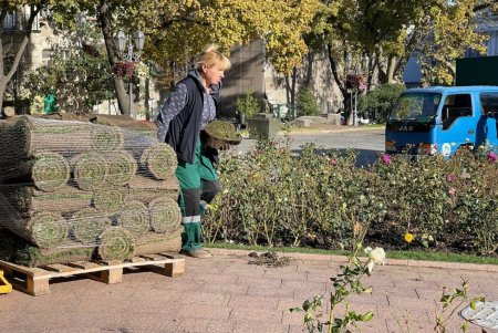 В Старобазарном сквере коммунальщики высадили девять видов декоративных растений (фото)