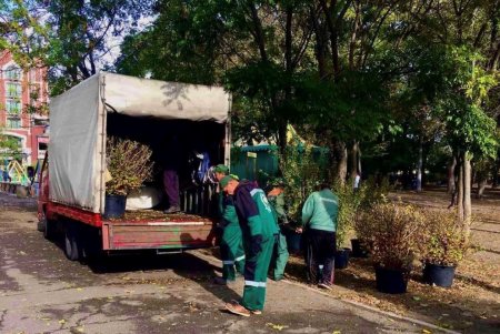 В Старобазарном сквере коммунальщики высадили девять видов декоративных растений (фото)