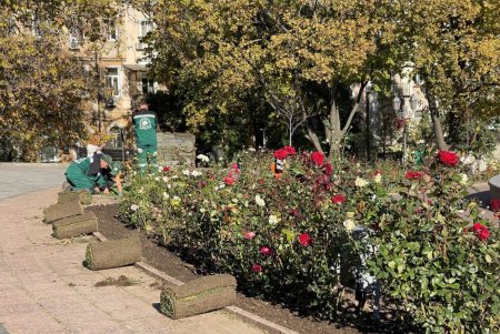 В Старобазарном сквере коммунальщики высадили девять видов декоративных растений (фото)