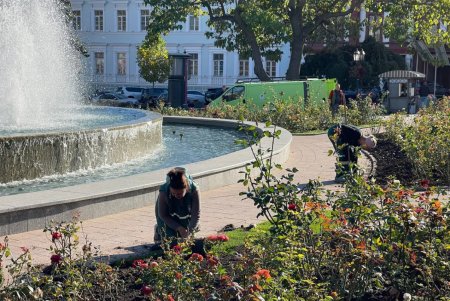 В Старобазарном сквере коммунальщики высадили девять видов декоративных растений (фото)