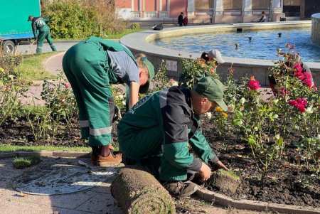 В Старобазарном сквере коммунальщики высадили девять видов декоративных растений (фото)