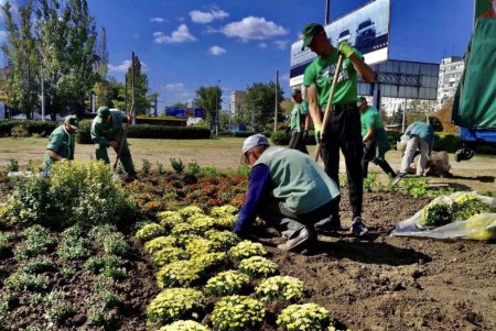 В Старобазарном сквере коммунальщики высадили девять видов декоративных растений (фото)