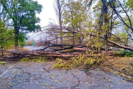 Коммунальщики расчищают побережье Одессы после непогоды (фото)