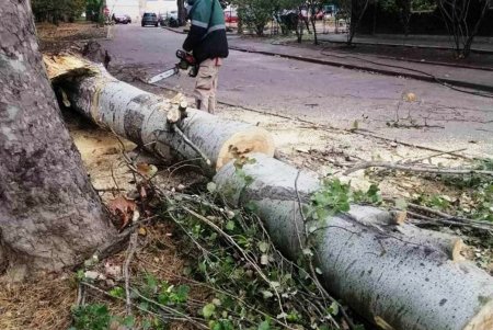 Коммунальщики успешно устраняют последствия разгула стихии в городе (фото)