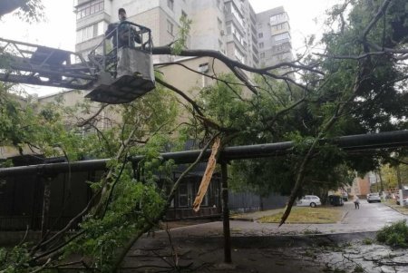 Коммунальщики успешно устраняют последствия разгула стихии в городе (фото)