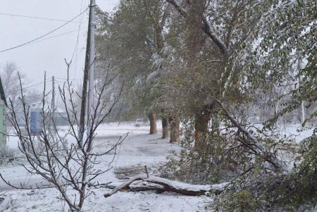 На Одессу обрушился разрушительный снежный ураган (фоторепортаж) 