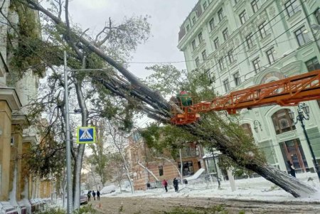На Одессу обрушился разрушительный снежный ураган (фоторепортаж) 