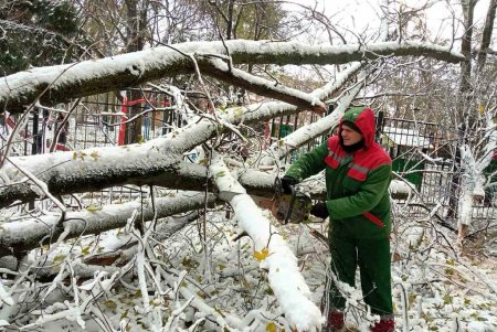 В городе продолжаются работы по ликвидации последствий стихии: повалены 267 деревьев и 88 веток (фото)