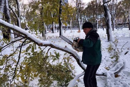 В городе продолжаются работы по ликвидации последствий стихии: повалены 267 деревьев и 88 веток (фото)