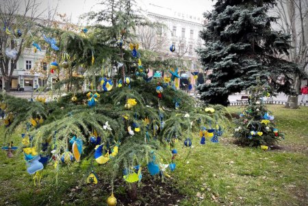 В Горсаду Парламент старшеклассников установил елку единения (фото, видео)