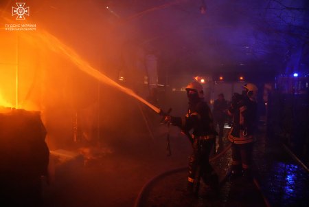 В Великом Дальнике под Одессой горел частный дом (фото)