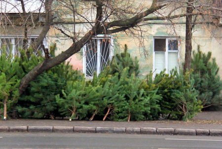 Улица Прохоровская: 195-летняя улица на карте Одессы (фоторепортаж)