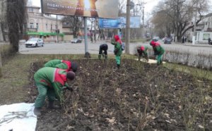 Озеленювачі розпочали висадження дерев в Одесі (фото)