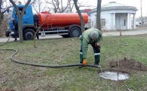 Озеленювачі розпочали висадження дерев в Одесі (фото)