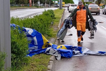 Поривчастим вітром в Одесі повалено декілька десятків дерев (фото)