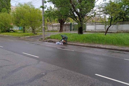 Поривчастим вітром в Одесі повалено декілька десятків дерев (фото)