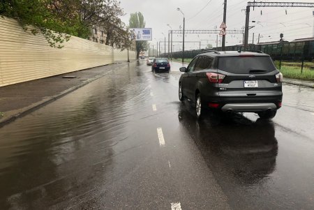 Поривчастим вітром в Одесі повалено декілька десятків дерев (фото)