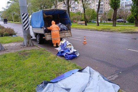 Поривчастим вітром в Одесі повалено декілька десятків дерев (фото)