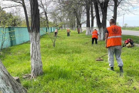 Комунальники наводять лад на одеських кладовищах (фото)