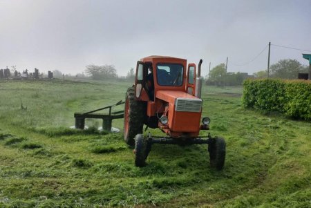 Комунальники наводять лад на одеських кладовищах (фото)