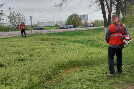 Комунальники наводять лад на одеських кладовищах (фото)