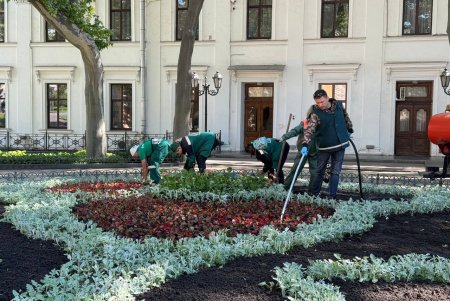 Одесу прикрасять 100 підвісних ваз із квітами (фото)