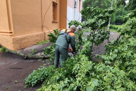 Поривчастим вітром в Одесі повалено 10 дерев і великих гілок (фото)