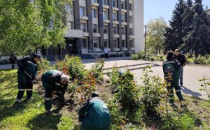 Роботи з благоустрою Одеси тривають (фото)