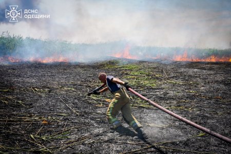 В Одесі зберігається надзвичайна спека: рекомендації рятувальників (фото)