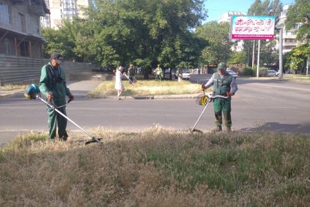 26 липня13:4724 Фахівці КП «Міськзелентрест» виконують роботи із запобігання цвітінню амброзії (фото)