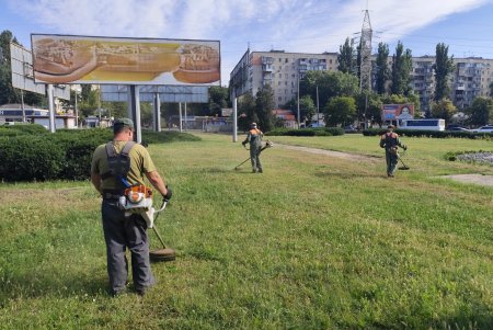 26 липня13:4724 Фахівці КП «Міськзелентрест» виконують роботи із запобігання цвітінню амброзії (фото)