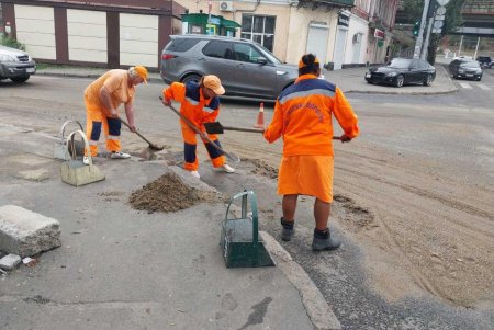 Внаслідок негоди в Одесі повалено 24 дерева: комунальні служби працюють на вулицях міста