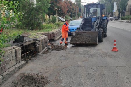 Внаслідок негоди в Одесі повалено 24 дерева: комунальні служби працюють на вулицях міста