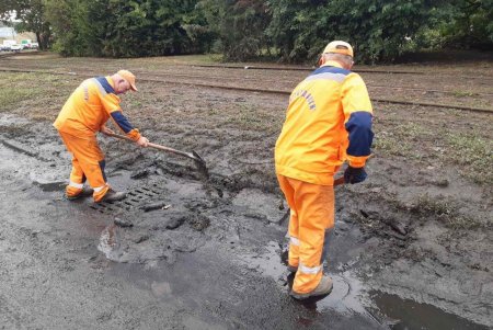 Внаслідок негоди в Одесі повалено 24 дерева: комунальні служби працюють на вулицях міста