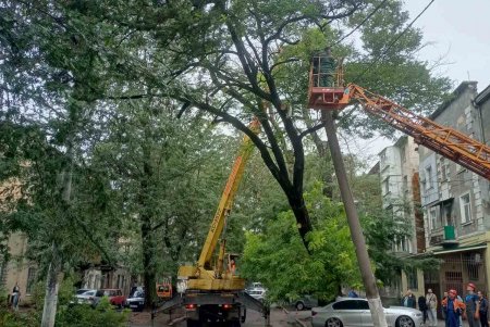 Внаслідок негоди в Одесі повалено 24 дерева: комунальні служби працюють на вулицях міста