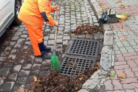 Внаслідок негоди в Одесі повалено 24 дерева: комунальні служби працюють на вулицях міста