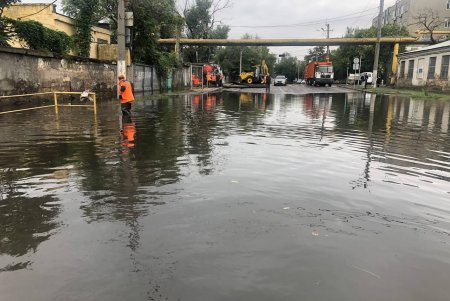 Внаслідок негоди в Одесі повалено 24 дерева: комунальні служби працюють на вулицях міста