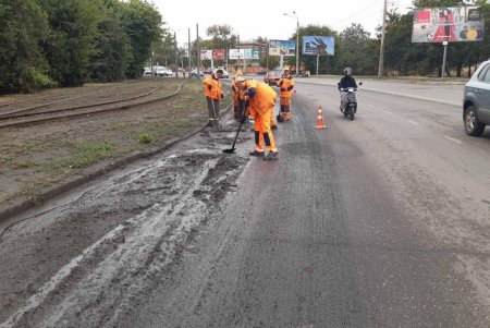 Внаслідок негоди в Одесі повалено 24 дерева: комунальні служби працюють на вулицях міста